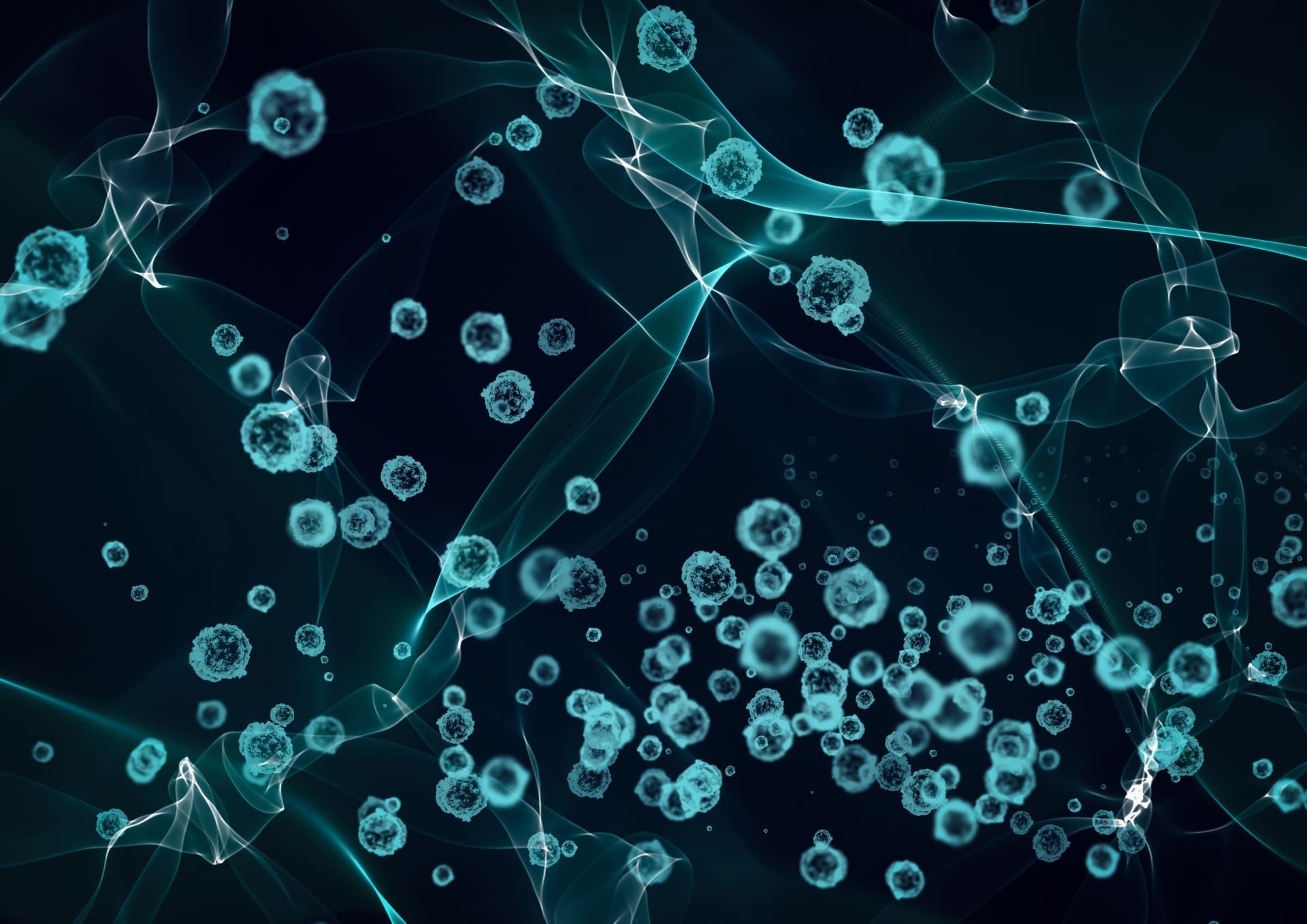 プライバシーポリシー