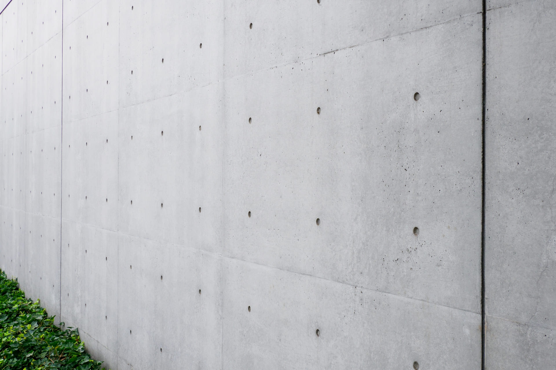 打ち放しコンクリートにカビ!? 原因と対策をプロが徹底解説