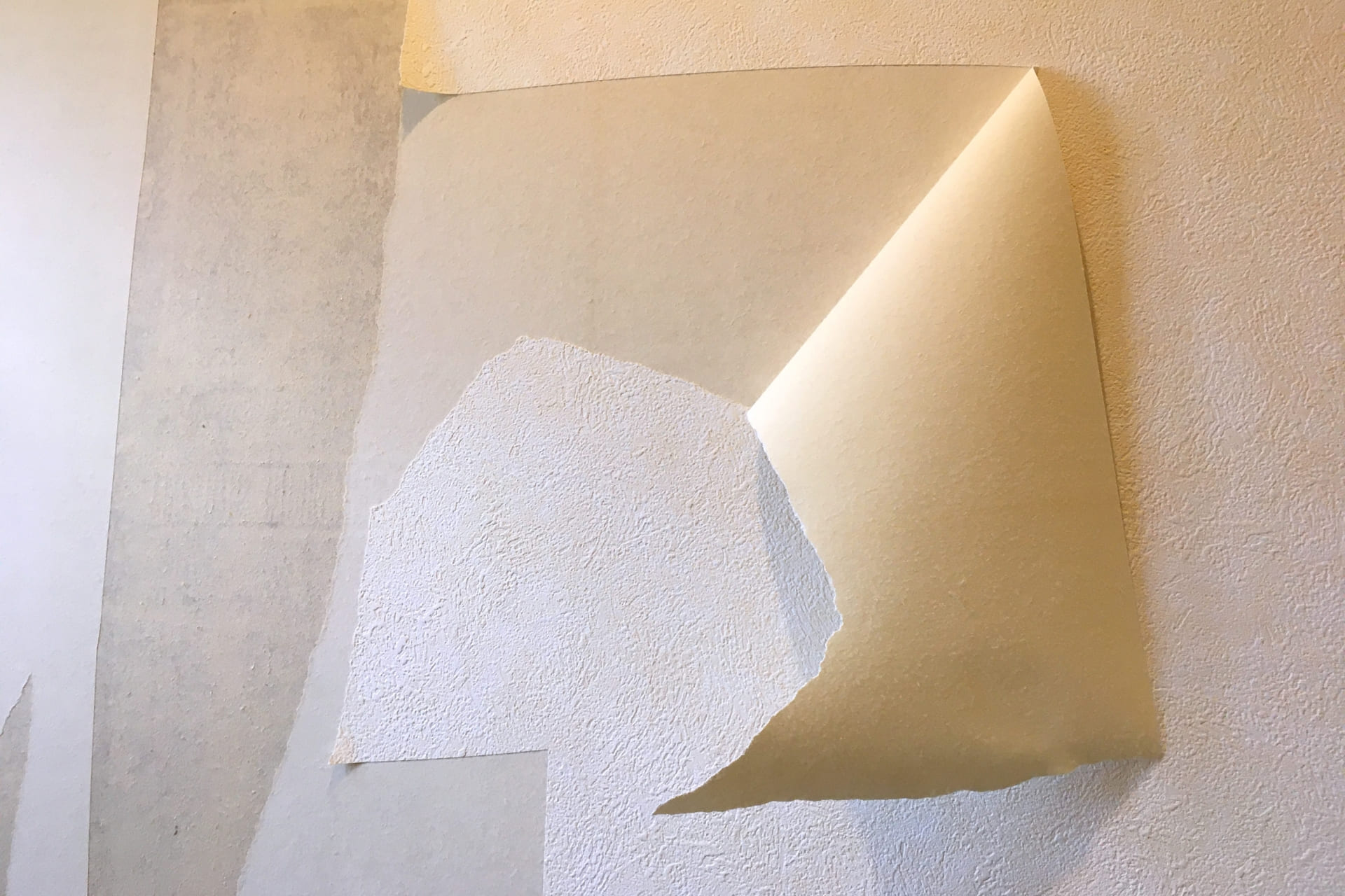 壁紙の裏にカビが…！紙質壁紙に潜むリスクと防止策まとめ