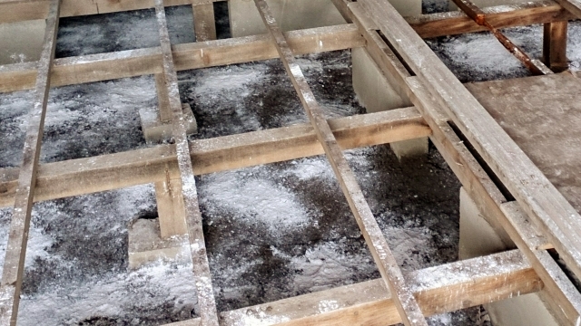 湖沼周辺の住宅はカビが危険？湿気対策と防カビの秘訣