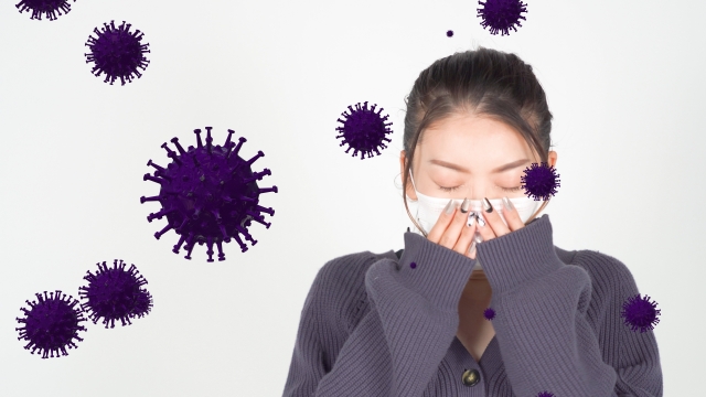 カビとウイルスの対決！基本的な違いとは？