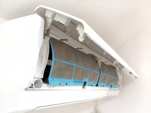 アスペルギルスの全貌：カビから生まれる健康リスクとチャンスを徹底解説！