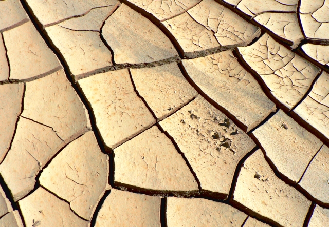 地球温暖化とカビの関係：なぜカビは気温上昇に影響されるのか？