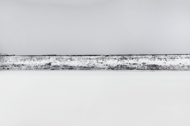 家庭内の黒カビ、クラドスポリウムの全貌と対策法