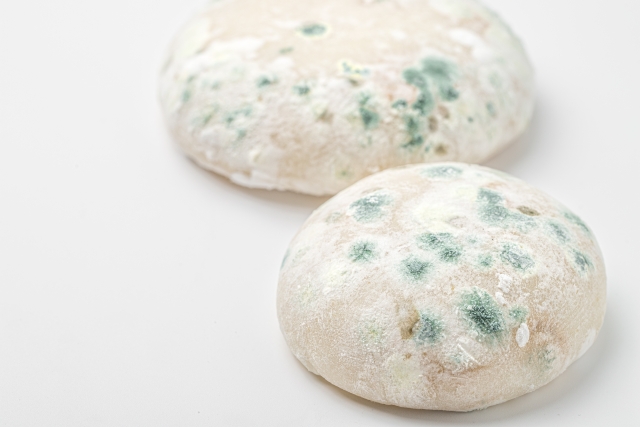 カビが生えた餅を食べても大丈夫？専門家が解説