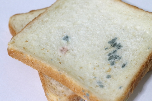 食品に潜むカビの危険性と健康への影響