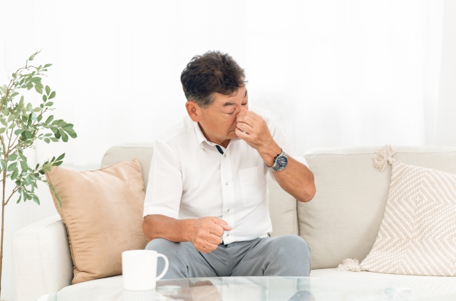 カビ問題を解決する！リゾープスカビの種類と効果的な対処法