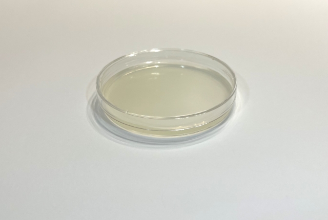 深掘り！ペニシリウムカビの知識：健康への影響と最新の除去方法