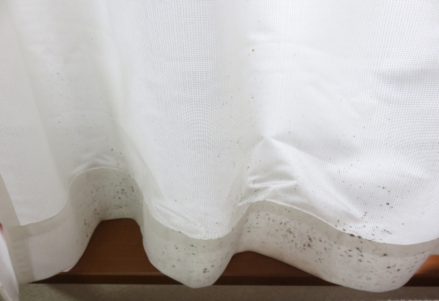 カビの栄養源とは？家の中でどこが危険？！