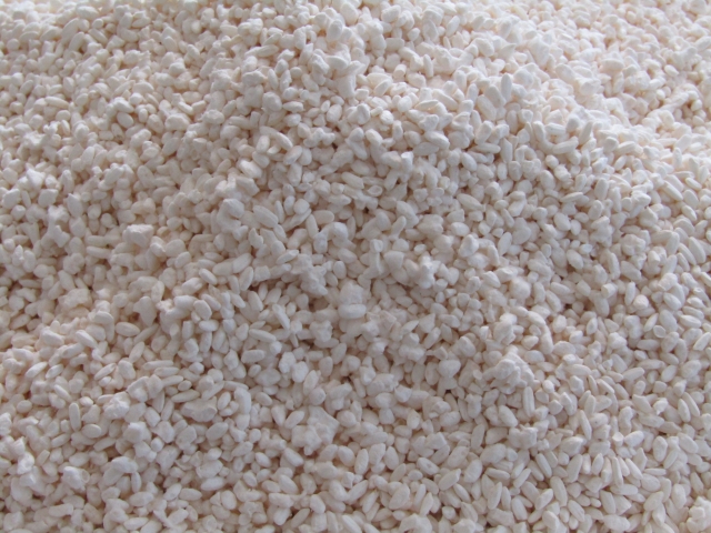 カビと酵母の違い徹底解説！知られざる特徴と利用法