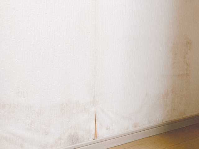 カビが家の寿命を縮める？劣化を防ぐための具体的なカビ対策5選！
