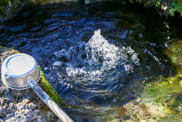 地下水位が高い土地に家を建てるとカビだらけ？知らないと怖い湿気リスク