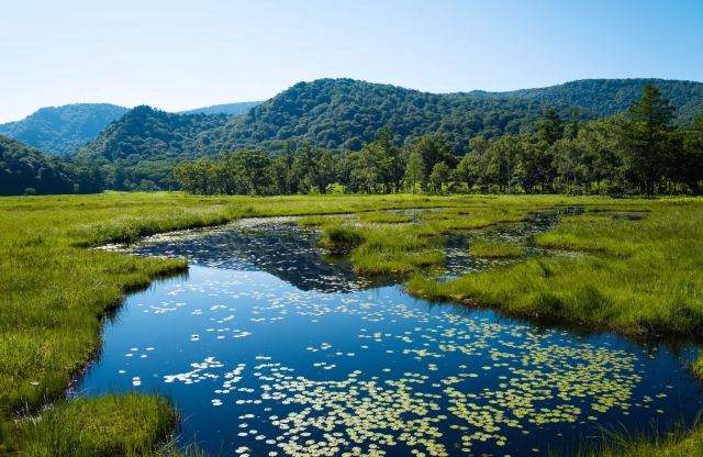 湿原跡地の住宅はカビが発生しやすい？原因と対策を徹底解説！