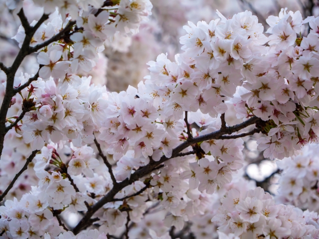 春のカビ発生を防ぐには？原因・影響・対策を完全ガイド！
