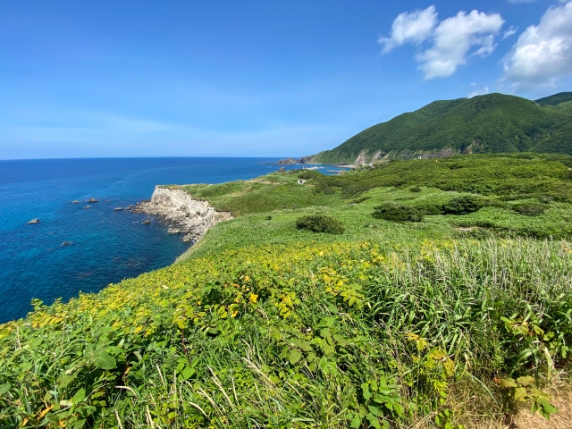 海沿いの家がカビだらけ？その原因と対策をプロが徹底解説！