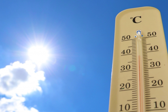 「気温20度超えでカビ急増!? 今すぐ始めたい5つの対策とは」