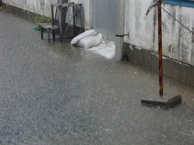 冠水後はカビ地獄に要注意！今すぐやるべき乾燥と対策まとめ