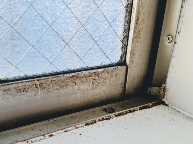 「浴室カビ対策完全ガイド｜換気のコツとおすすめグッズを紹介」