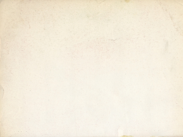 壁紙の黒ずみ、それカビかも？原因から除去・予防策までプロが解説