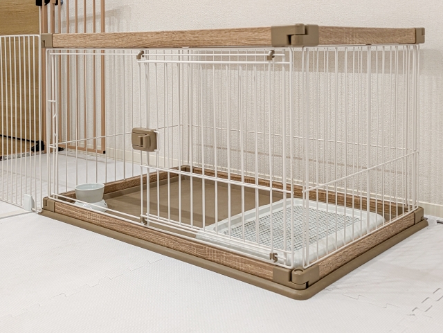 カビ対策、ペットも安心！日常で使える防カビグッズと掃除術