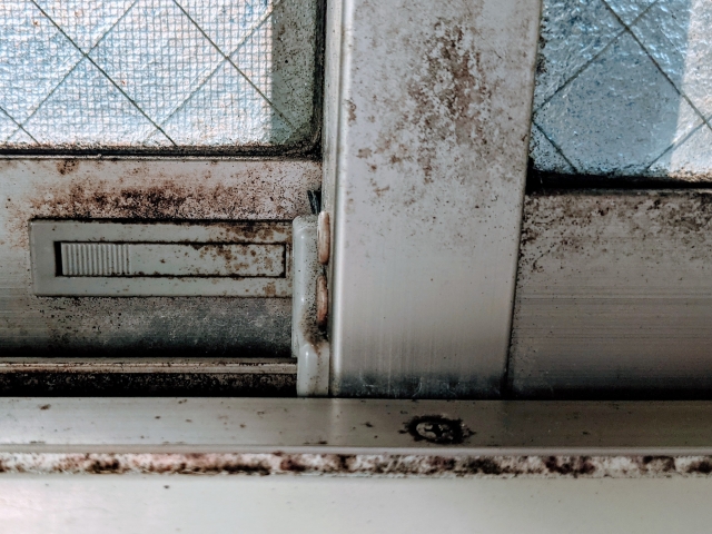 「窓のサッシに潜むカビ…放置NG！原因と対策を徹底解説」