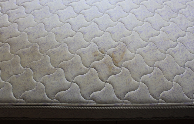 マットレスにカビが！今すぐできる掃除方法と再発防止の秘訣