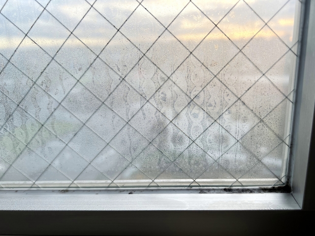サッシやパッキンに黒カビ発見…正しい除去法と予防術とは？