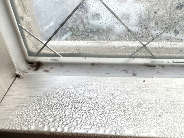結露とカビのW対策！掃除から予防までプロが教えるベストな方法