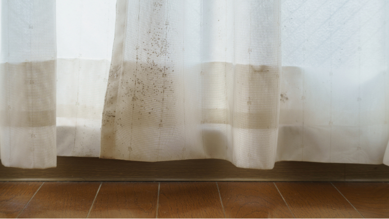 窓際の結露が原因？カーテンの黒カビ対策