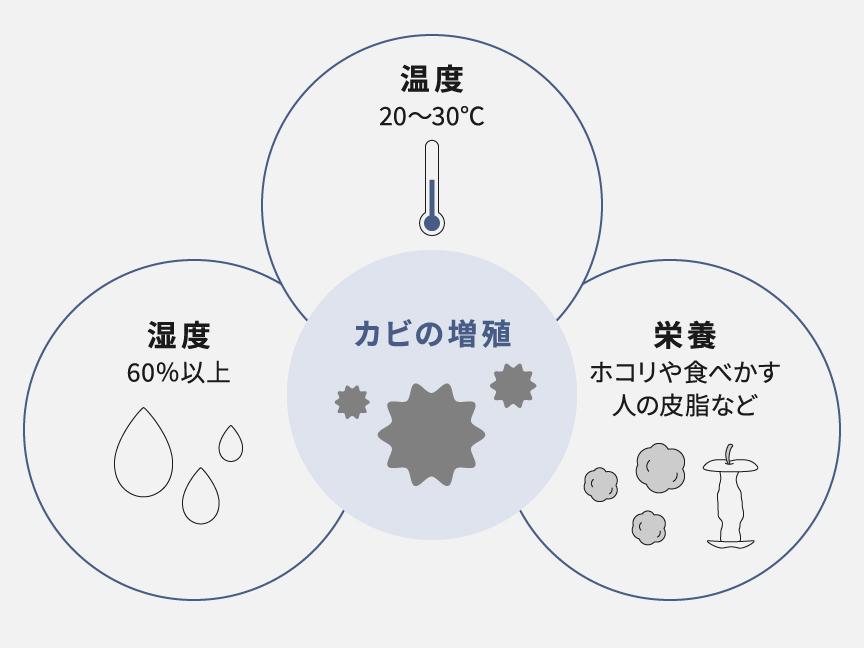梅雨前から始めるカビ予防習慣🌿