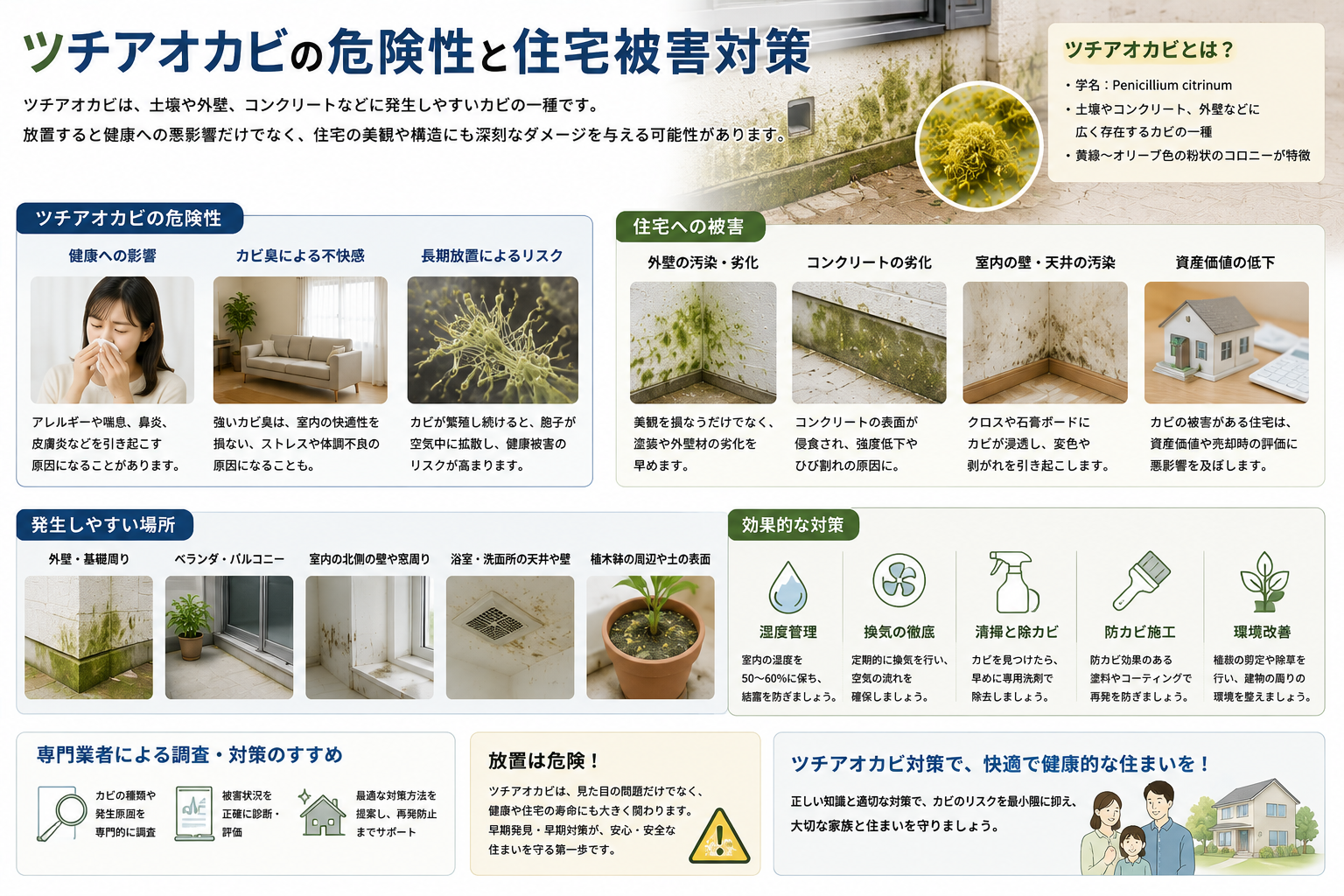 ツチアオカビの危険性と住宅被害対策