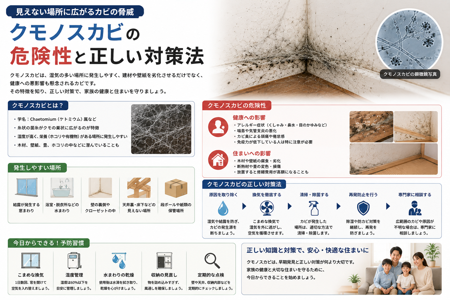 クモノスカビの危険性と正しい対策法